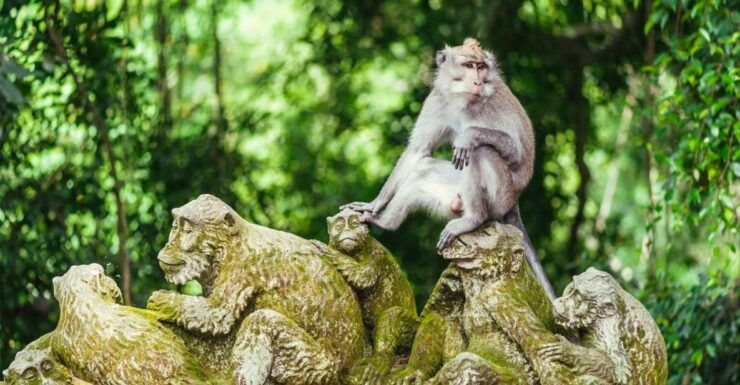 Ubud Full Day Tour - Good To Know