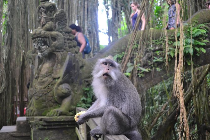 Ubud Full Day Tour - Costumeize Your Own Trip - Tour Highlights