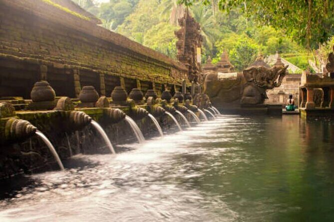 Ubud Full Day Tour: Private and Customizable - Who Is This Tour Best For?