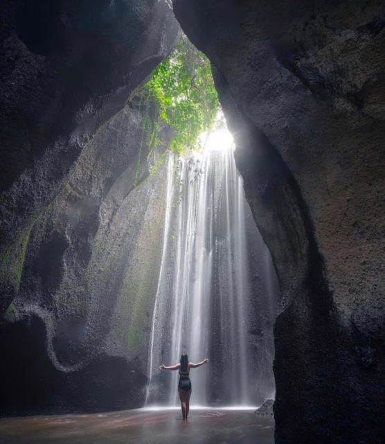 Ubud Full-Day Tour: Private Design Your Own Tour - Tour Guide