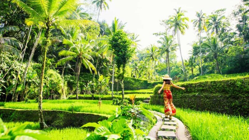 Ubud Full-Day Tour: Rice Terrace, Jungle Swing & Waterfalls - Practical Aspects of the Tour