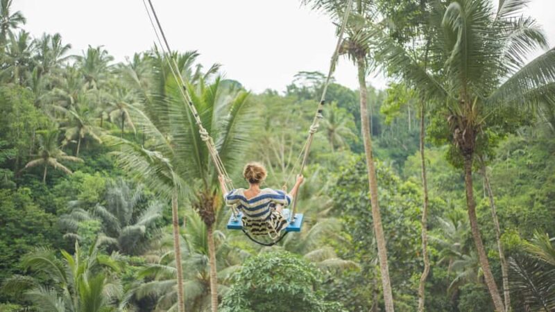 Ubud Full-Day Tour: Rice Terrace, Jungle Swing & Waterfalls - Final Thoughts