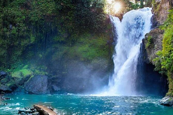 Ubud Full Day Tour Waterfall Monkey Forest Rice Terrace - Pricing and Group Size