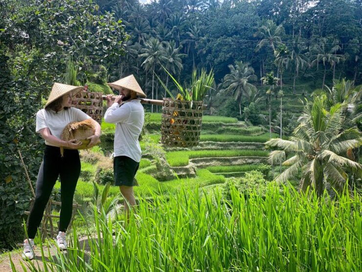 Ubud Funtastic Tour With Local Guide - Inclusions in the Ubud Tour