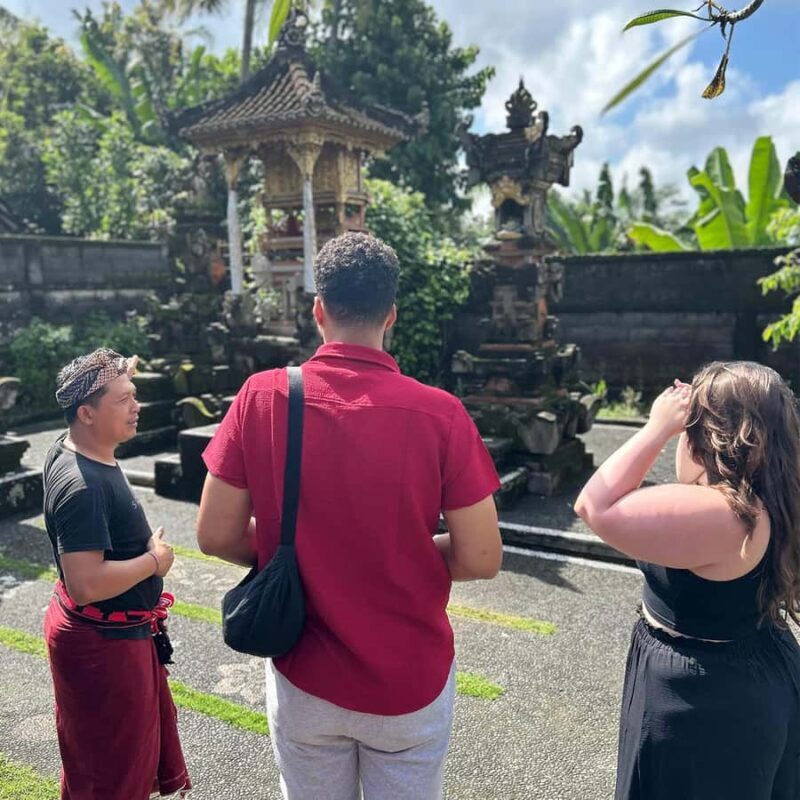 Ubud Gallery Experience: Culture, Waterfall & Rice Terrace - Value for Money and Overall Impression