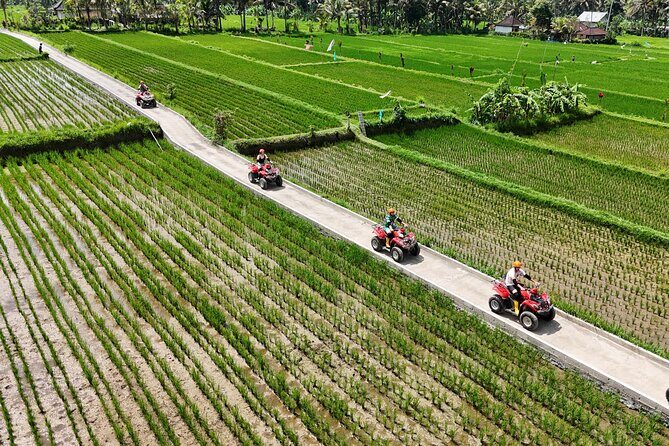 Ubud Gorilla ATV Quad Bike Adventure with Meal - FAQ