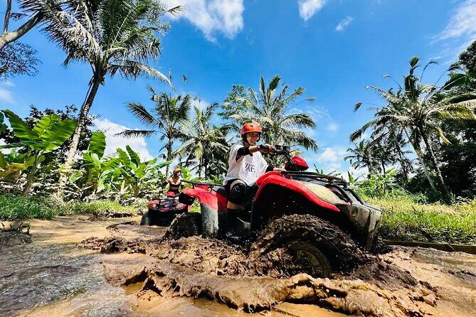 Ubud Gorilla ATV Quad Bike Adventure with Meal - What Makes This Tour Stand Out?