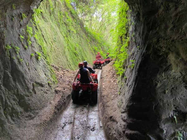 Ubud: Gorilla Face Quad Bike, Jungle Swing, Waterfall & Meal - Common Questions