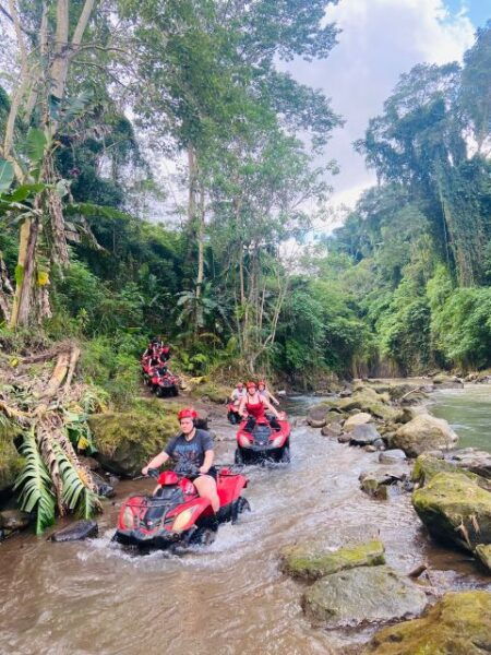 Ubud: Gorilla Face Quad Bike, Jungle Swing, Waterfall & Meal - The Sum Up