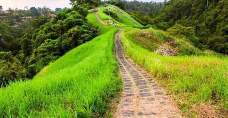 Ubud : Green Luminous Tour - Tour Overview