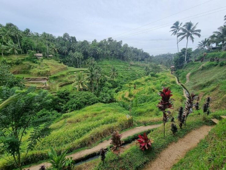Ubud : Green Luminous Tour - Booking Details