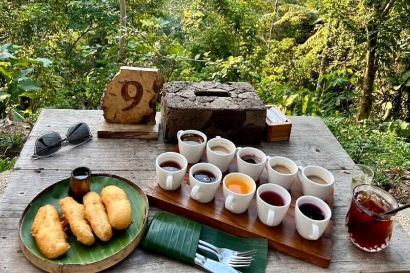 Ubud Half-Day: Rice Fields, Batuan Kaler Temple & Waterfall - Practicalities and Comfort