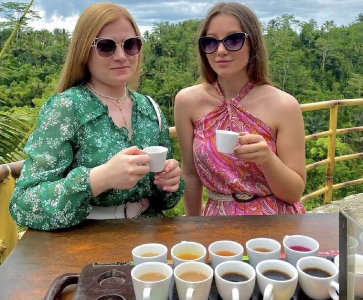 Ubud: Half-Day Semi-Customized Private Tour With a Guide - Tour Details