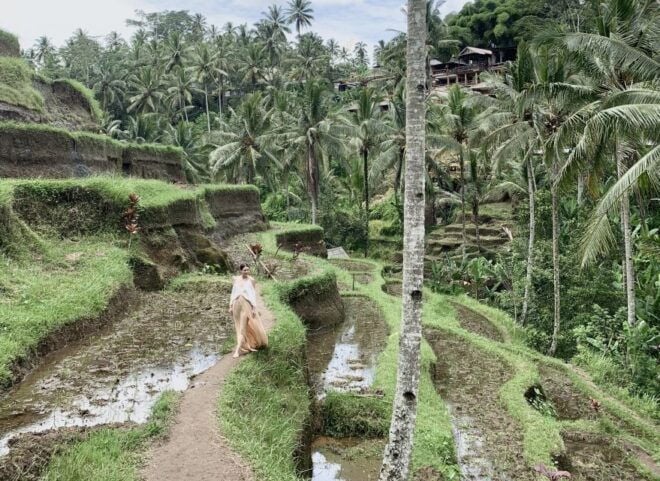 Ubud: Half-Day Semi-Customized Private-Tour With Live Guide - Additional Attractions