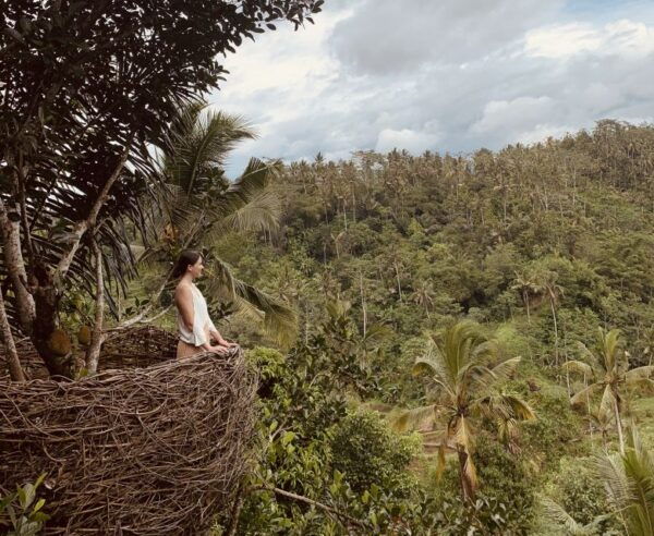 Ubud: Half-Day Semi-Customized Private-Tour With Live Guide - Common Questions