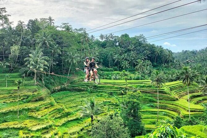Ubud Half Day Skybike and Zipline Rice Terrace Tour - Ideal For Who?