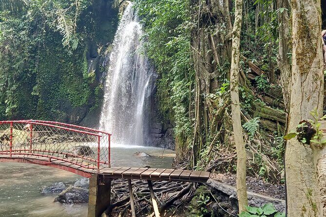Ubud Half Day Skybike and Zipline Rice Terrace Tour - Practical Details and Logistics
