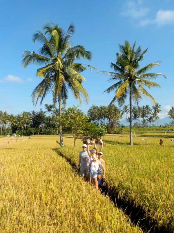 Ubud: Half-Day Tegallalang Electric Cycling Tour - An Honest Breakdown of the Experience