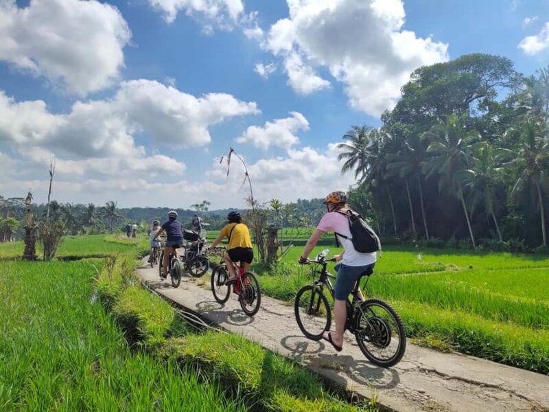 Ubud: Half-Day Tegallalang Electric Cycling Tour - Authentic Guest Experiences