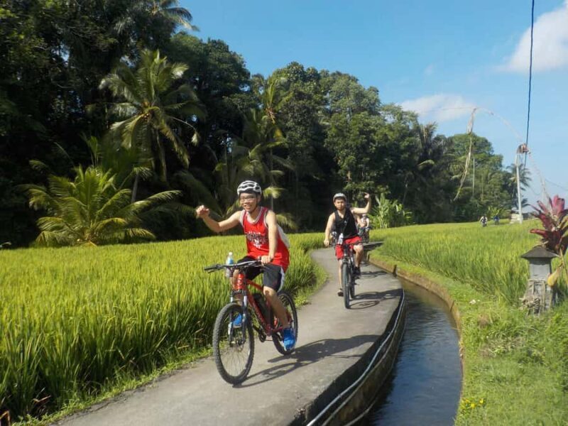 Ubud: Half-Day Tegallalang Electric Cycling Tour - Final Verdict: Who Will Love This Tour?
