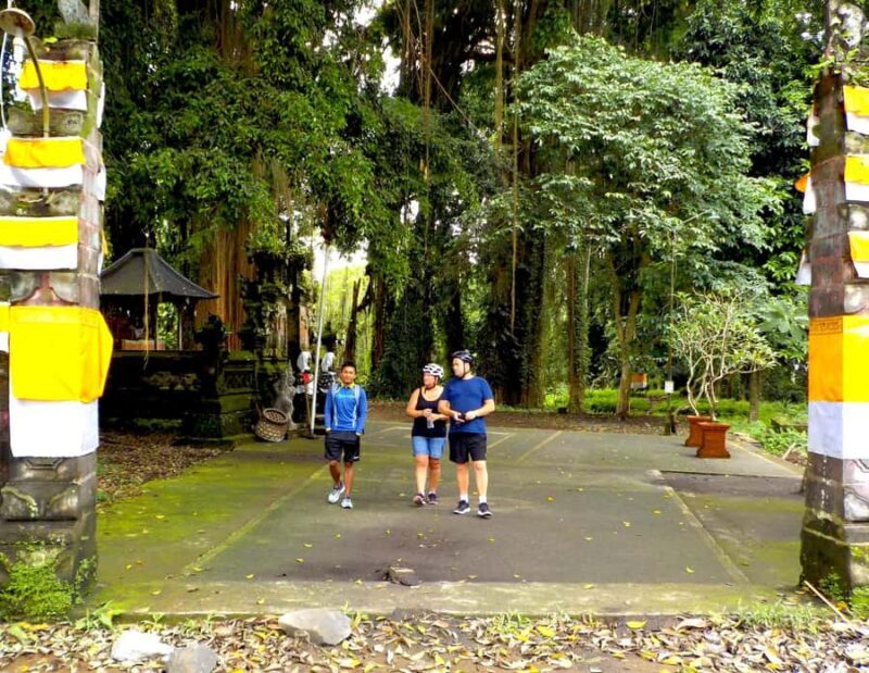 Ubud: Half-Day Tegallalang Electric Cycling Tour - Detailed Breakdown of the Itinerary
