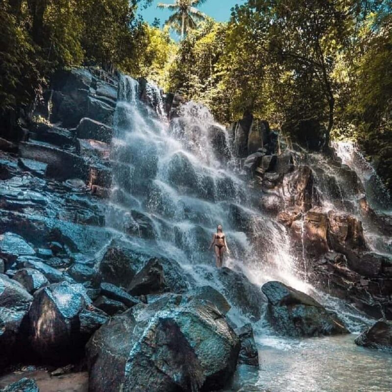 Ubud Half Day Waterfall Tour & Temple - Discover the Ubud Half Day Waterfall Tour & Temple Experience
