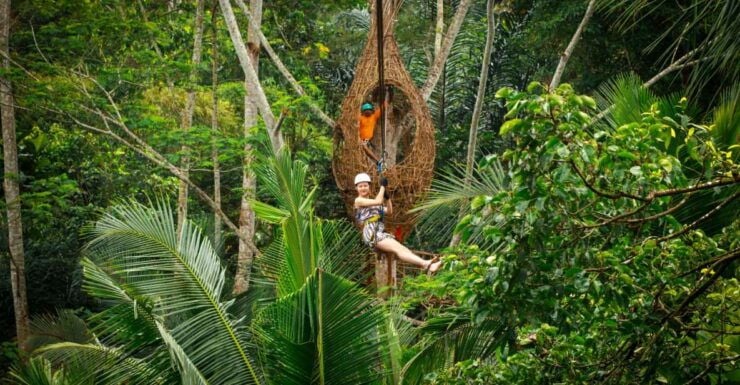 Ubud: Half-Day Zipline and Jungle Swing Adventure - Experience Highlights