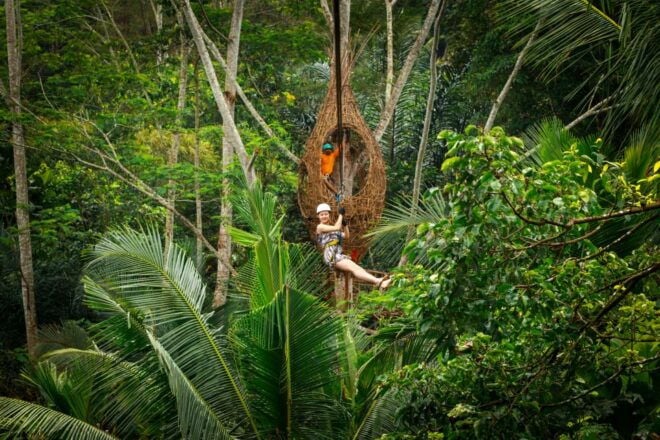 Ubud: Half-Day Zipline and Jungle Swing Adventure - Full Description of the Adventure