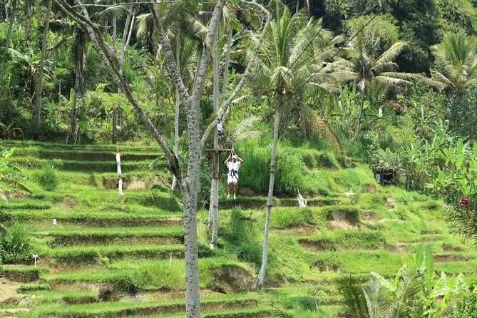 Ubud Half Day Zipline and Jungle Swing - The Sum Up