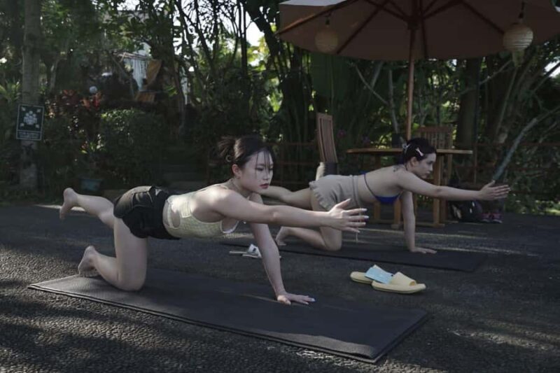 Ubud Hatha Yoga Home Service (certified yoga teacher) - What You Can Expect from the Ubud Hatha Yoga Home Service