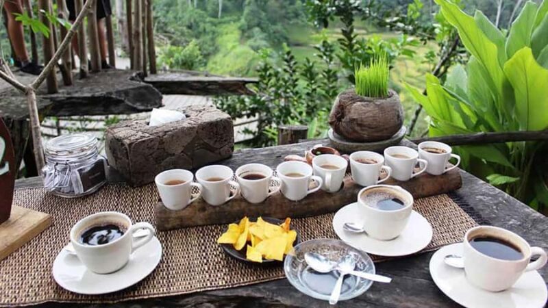 Ubud Healing Journey Experience - All Inclusive - Good To Know