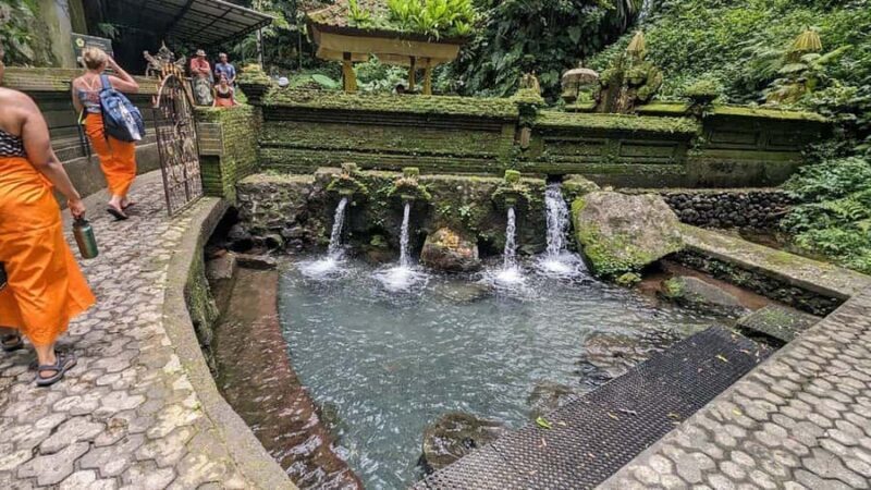 Ubud Healing Journey Experience - All Inclusive - The Sum Up