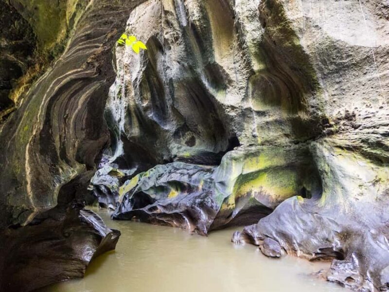 Ubud: Hidden Canyon Beji Guwang Guided Tour - Final Thoughts: Who Should Sign Up?