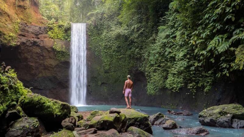 Ubud: Hidden Gems & Culture Tour with Jungle Lunch - The Scenic Jungle Lunch