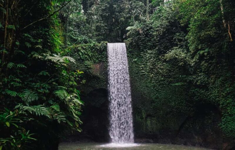 Ubud Hidden Gems: Waterfall Tour - Good To Know  