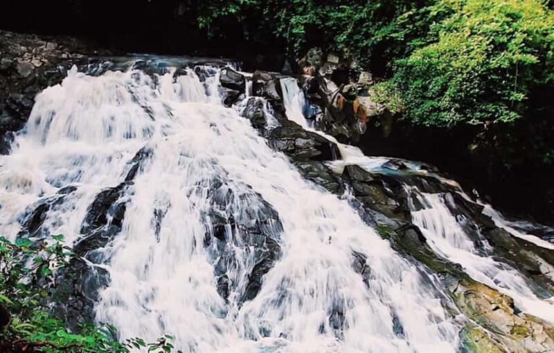 Ubud Hidden Gems: Waterfall Tour - What to Expect from the Ubud Waterfall Tour