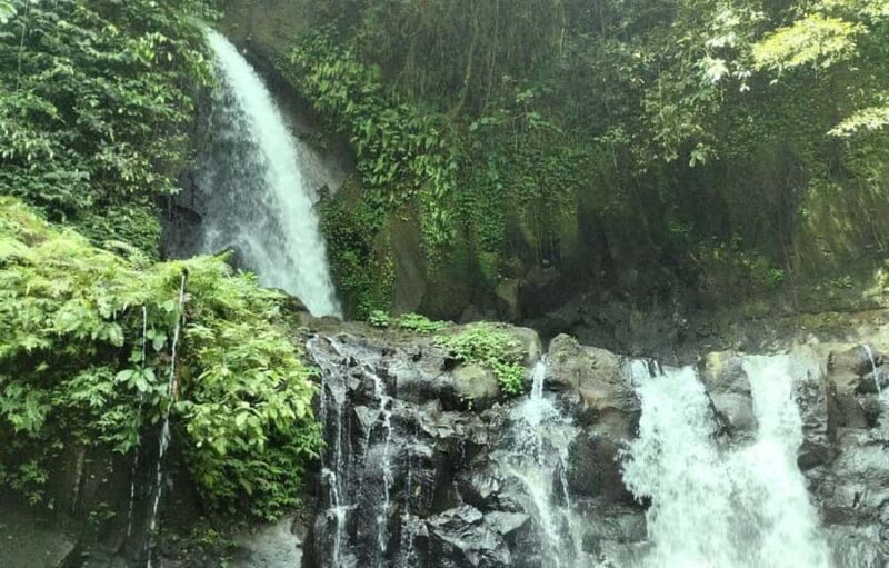 Ubud Hidden Gems: Waterfall Tour - Who Is This Tour Best For?