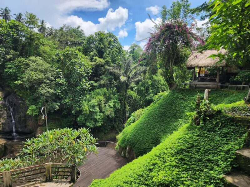 Ubud: Hidden Waterfalls, Rice terrace & Cliffside Dining - Ubud: Hidden Waterfalls, Rice Terrace & Cliffside Dining – A Truly Authentic Day Out in Bali