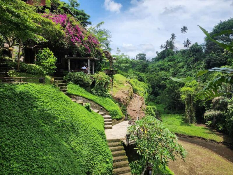 Ubud: Hidden Waterfalls, Rice terrace & Cliffside Dining - The Overall Experience: What We Think