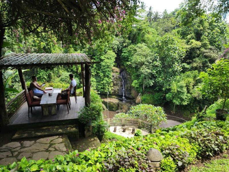 Ubud: Hidden Waterfalls, Rice terrace & Cliffside Dining - Good To Know