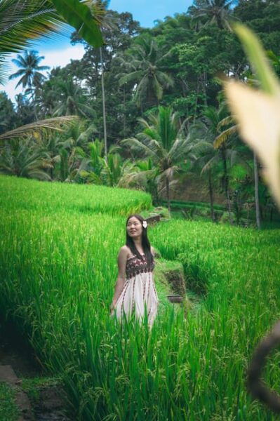 Ubud: Hidden Waterfalls & Rice Terrace Tours - Inclusions and Exclusions