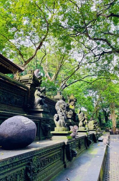 Ubud: Hidden Waterfalls & Rice Terrace Tours - Important Travel Tips
