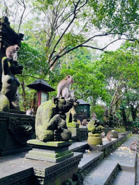 Ubud: Hidden Waterfalls & Rice Terrace Tours - Questions You May Have