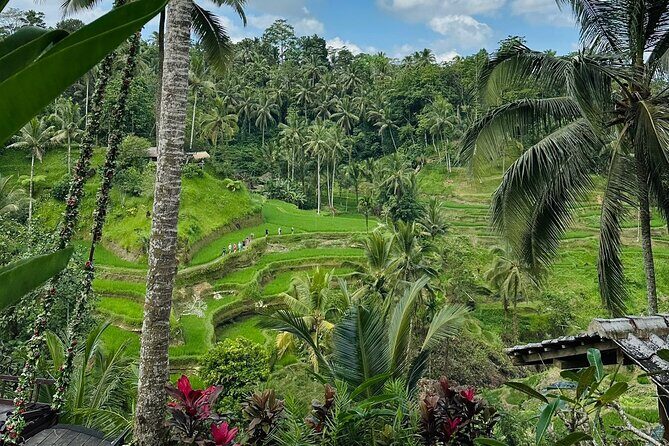Ubud Hidden Wonders A Day in Balis Heart - What Reviewers Say