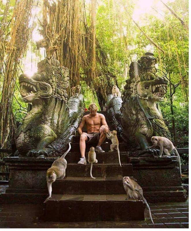 Ubud: Highlight Nature Wildlife, Swing & Waterfall - Why This Tour Is a Great Choice