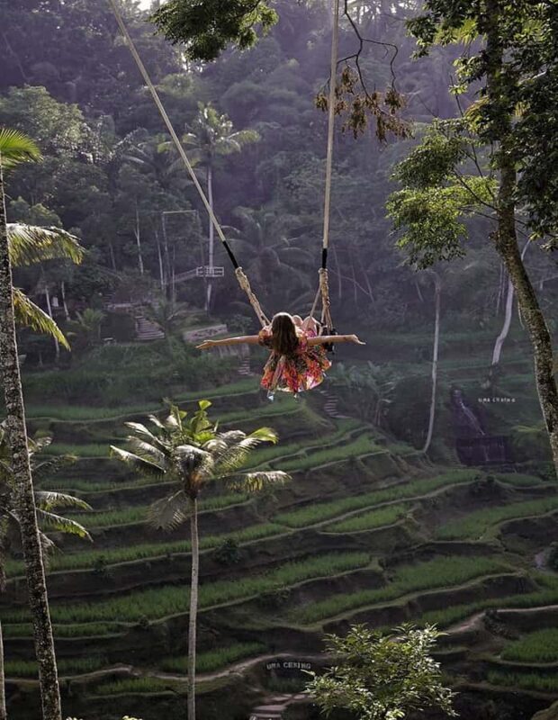 Ubud: Highlight Nature Wildlife, Swing & Waterfall - FAQ