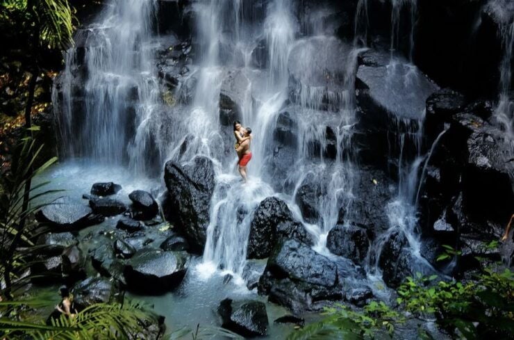 Ubud: Highlights & Cretya Jungle by Alas Arum Day-Tour - Experience Highlights