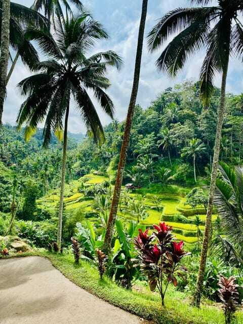 Ubud highlights experience tour - FAQ