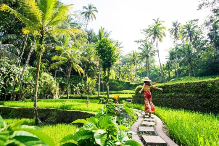 Ubud Highlights Private Day Tour - Itinerary and Activities