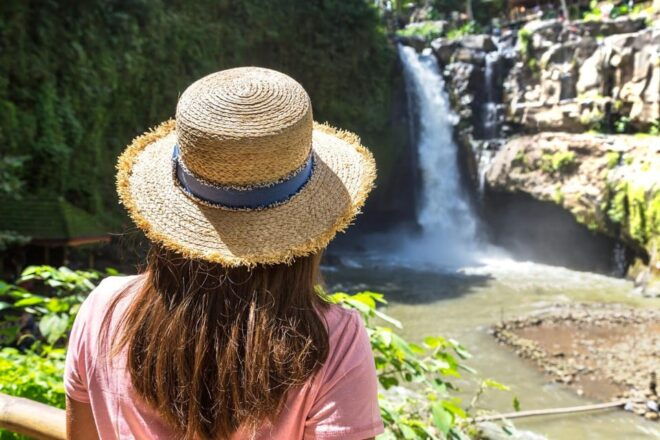 Ubud Highlights Private Day Tour - Key Stops and Highlights